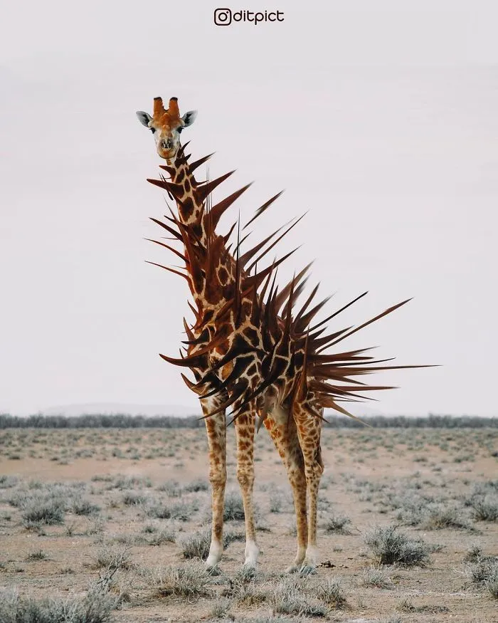 Indonesian Digital Artist Aditya Aryanto Photoshops Animals Into Surreal, Silly, And Unexpected Situations (50 Pics)