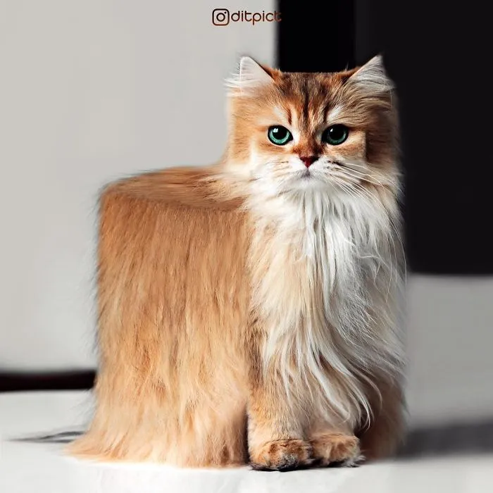 Indonesian Digital Artist Aditya Aryanto Photoshops Animals Into Surreal, Silly, And Unexpected Situations (50 Pics)