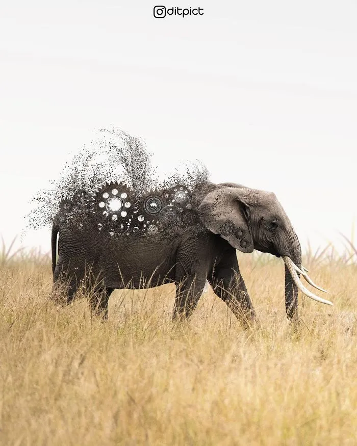 Indonesian Digital Artist Aditya Aryanto Photoshops Animals Into Surreal, Silly, And Unexpected Situations (50 Pics)