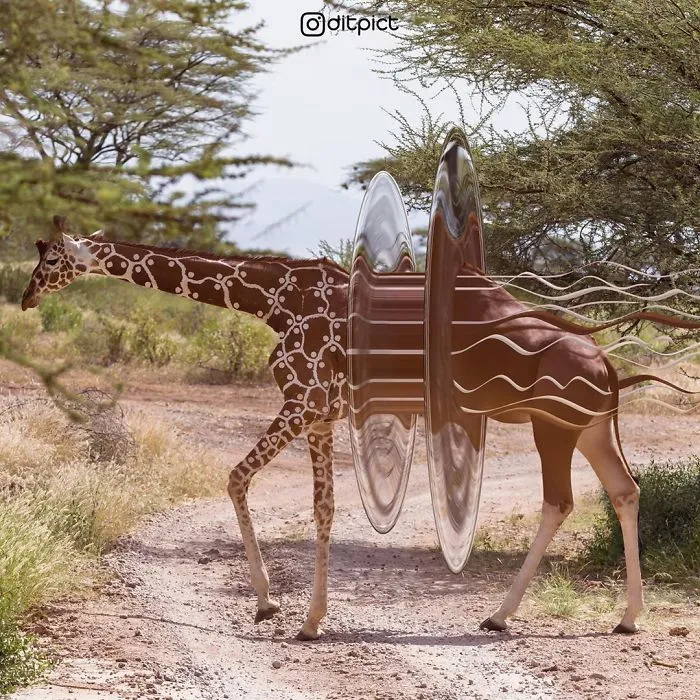 Indonesian Artist Uses Photoshop To Show A Surreal Image Of Animals