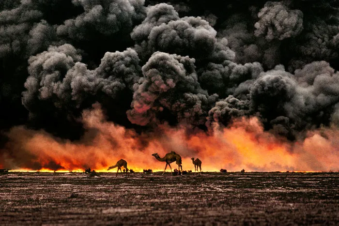 30 Photographs That Explore The Relationship Between Animals And Humans By Steve McCurry