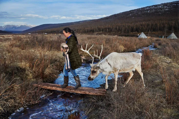 30 Photographs That Explore The Relationship Between Animals And Humans By Steve McCurry