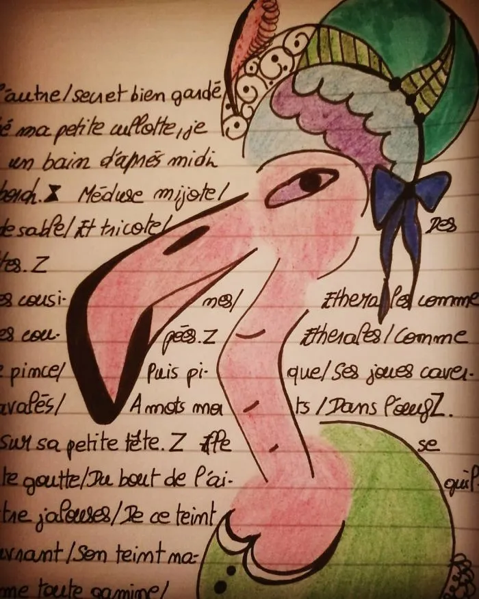 Comtesse Flamant