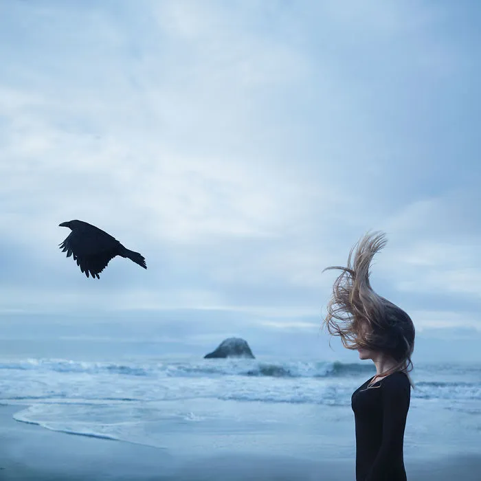 The Flight