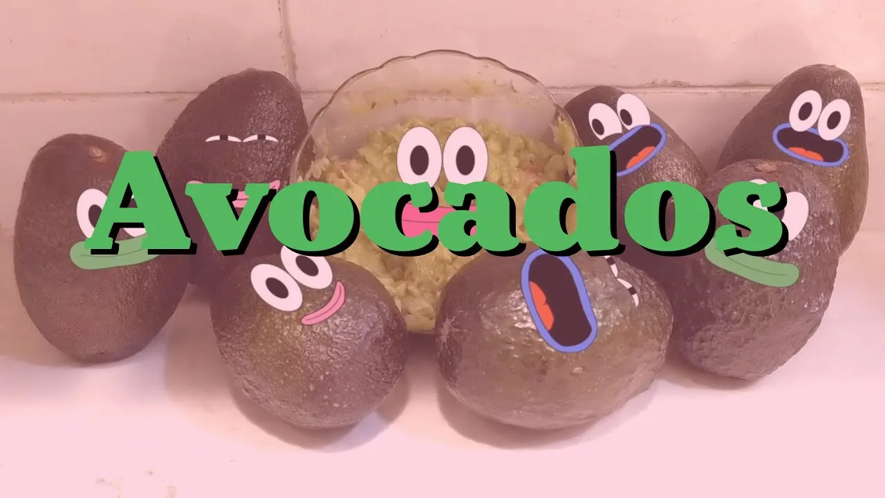 I Made A Song About Avocados