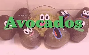 I Made A Song About Avocados
