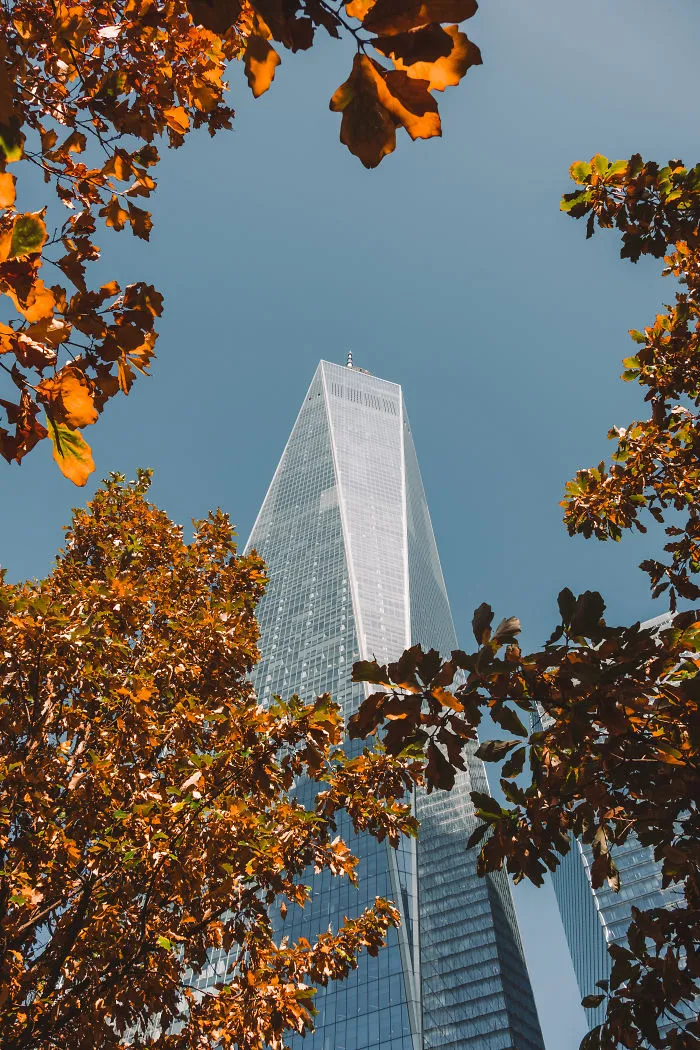 I Photographed Halloween In New York And More