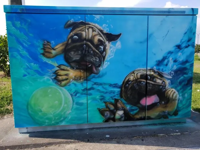Artist Jimmy Robertson