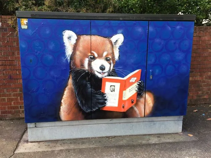 Artist Paul Walsh