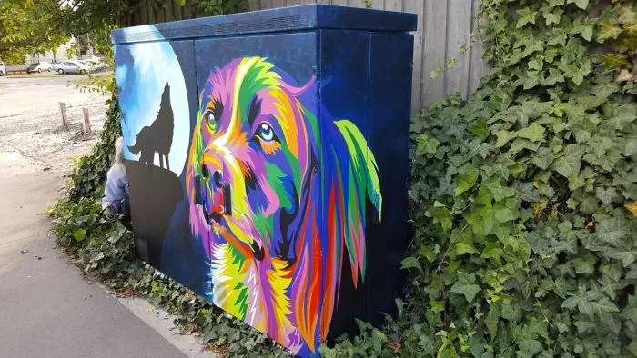 Artist Anne McDonald