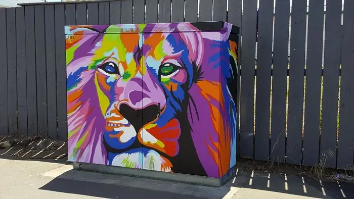 Artist Anne McDonald