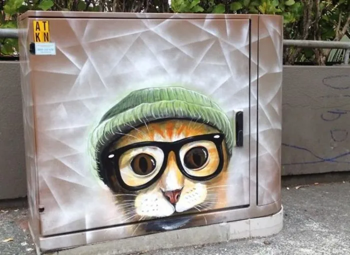 "Student Cat" By Paul Walsh