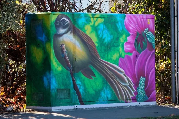 Native Piwakawaka (Fantail) With Hibiscus Flowers By Gynelle Blake