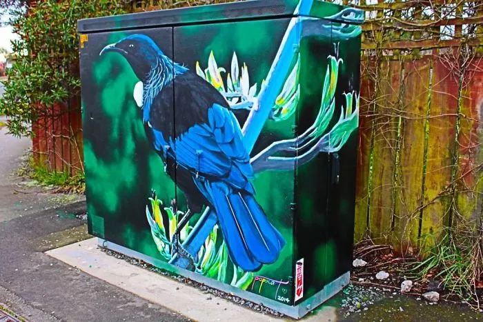 Native Tui On Wharariki Flowers (Mountain Flax) By Richard Baker Aka Popx Art