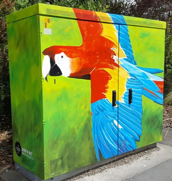 "Parrot" By Anne McDonald