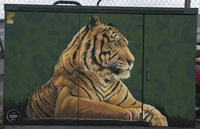 "Tiger" By Jordan McGuire