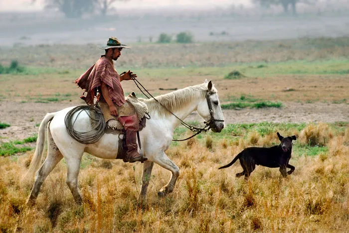 30 Photographs That Explore The Relationship Between Animals And Humans By Steve McCurry