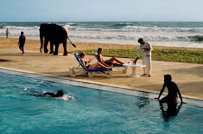 30 Photographs That Explore The Relationship Between Animals And Humans By Steve McCurry