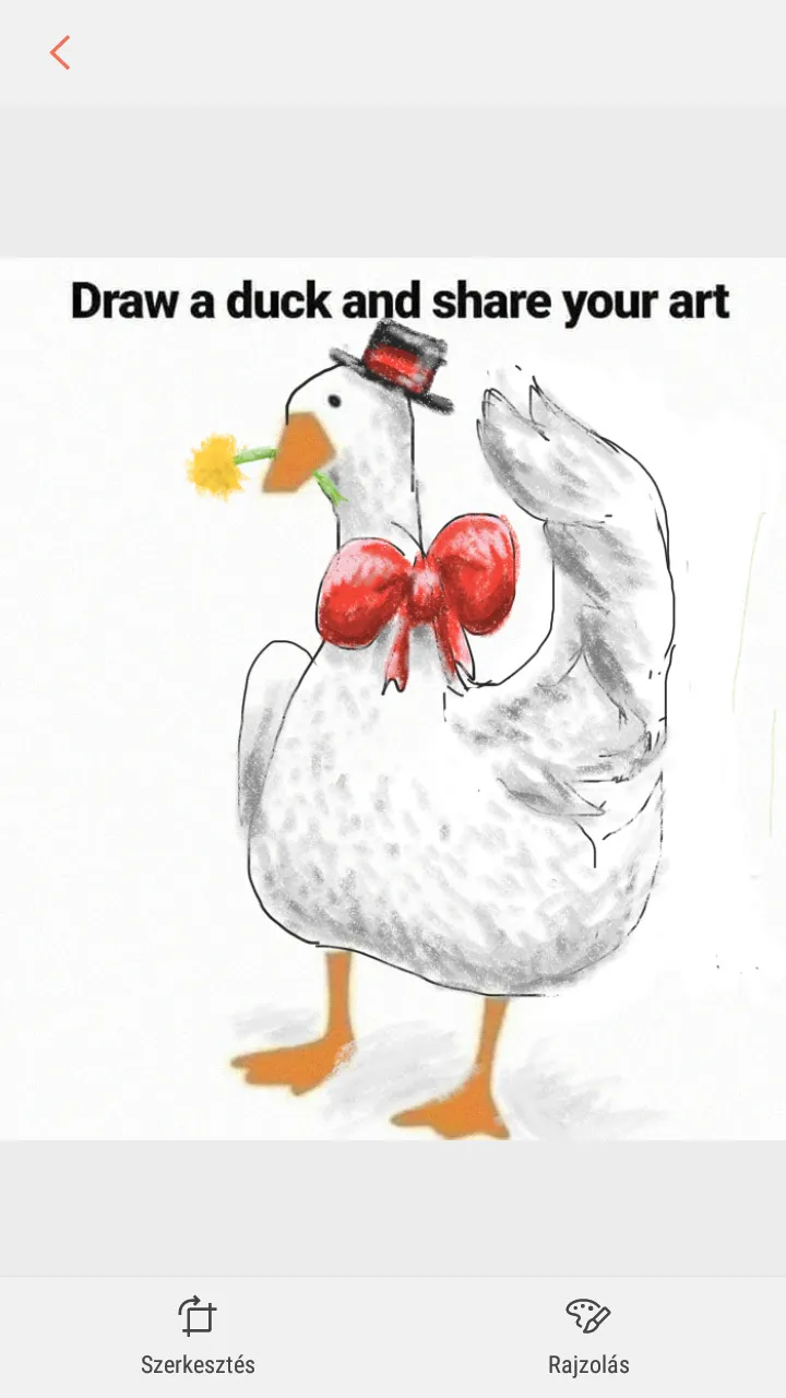 My Duck :)
