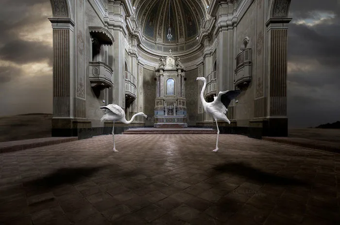 Shall We Dance?