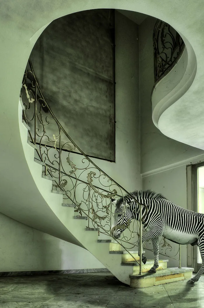 Stairs And Stripes