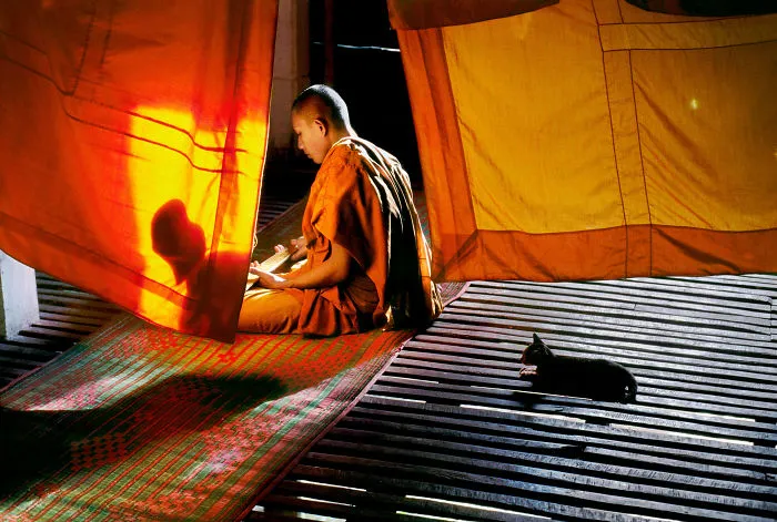 30 Photographs That Explore The Relationship Between Animals And Humans By Steve McCurry