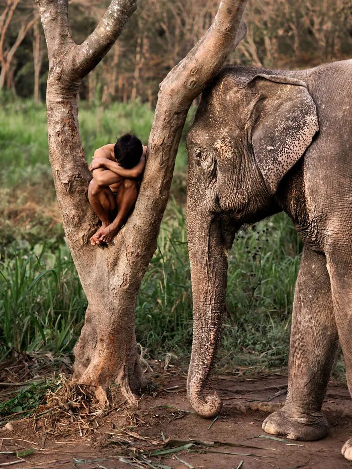 30 Photographs That Explore The Relationship Between Animals And Humans By Steve McCurry