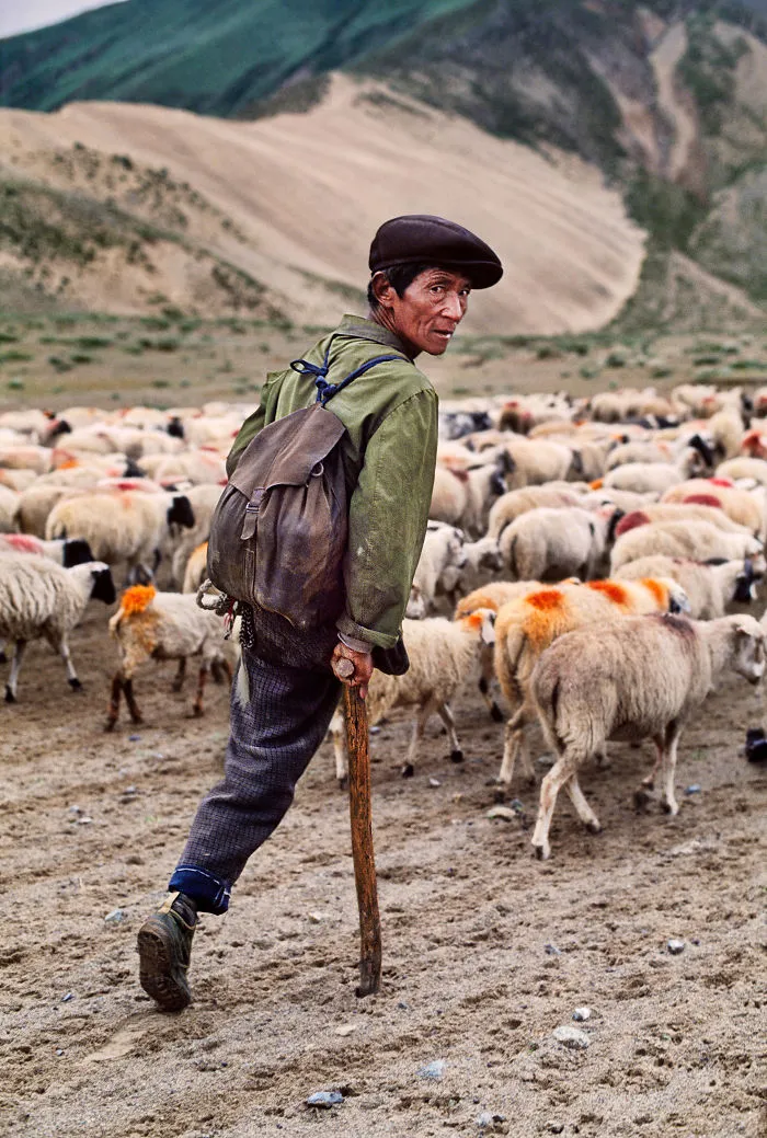 30 Photographs That Explore The Relationship Between Animals And Humans By Steve McCurry