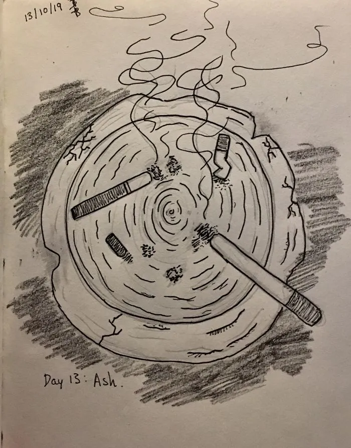 Day 13: Ash