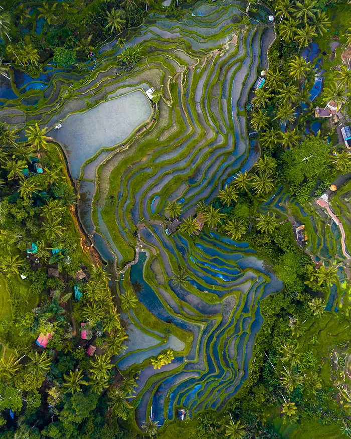 Phenomenal Colors Of Bali