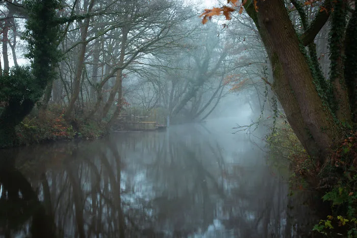 The Misty River Dinkel On A Winter Morning