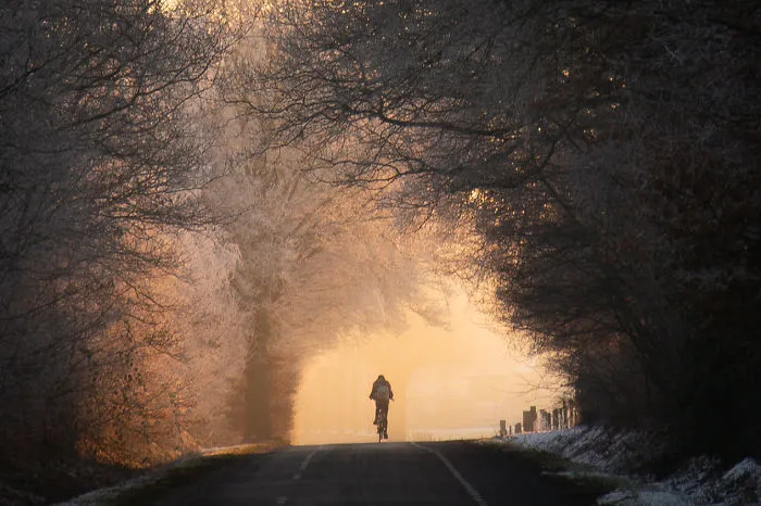 A Forsty Bicycle Trip To School