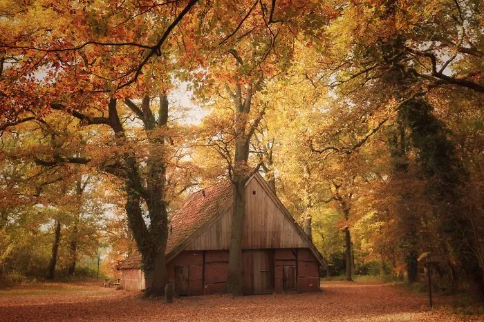 Traditional Farm In North East Twente