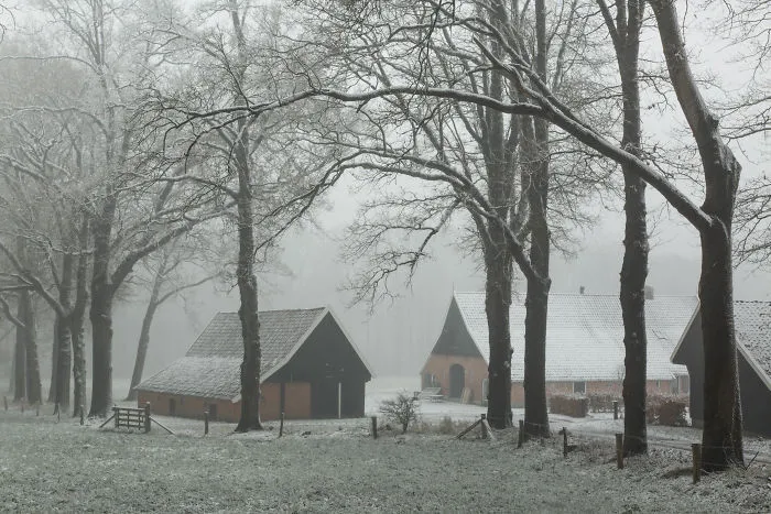 Farmyard Near Oldenzaal