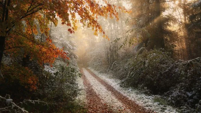 An Old Footpath In Between Two Villages