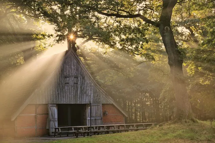 Traditional Farm On A Summer Morning