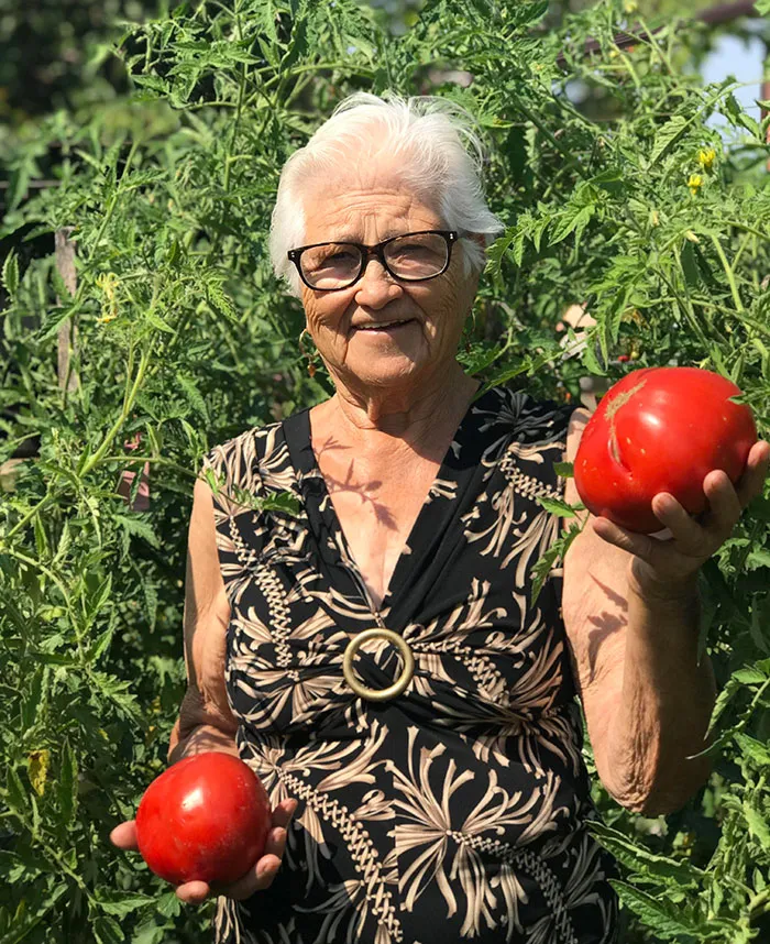 My Nonna Wanted Me To Post This On The Internet So That "Everyone In Italy Can See How Big My Tomatoes Have Gotten"
