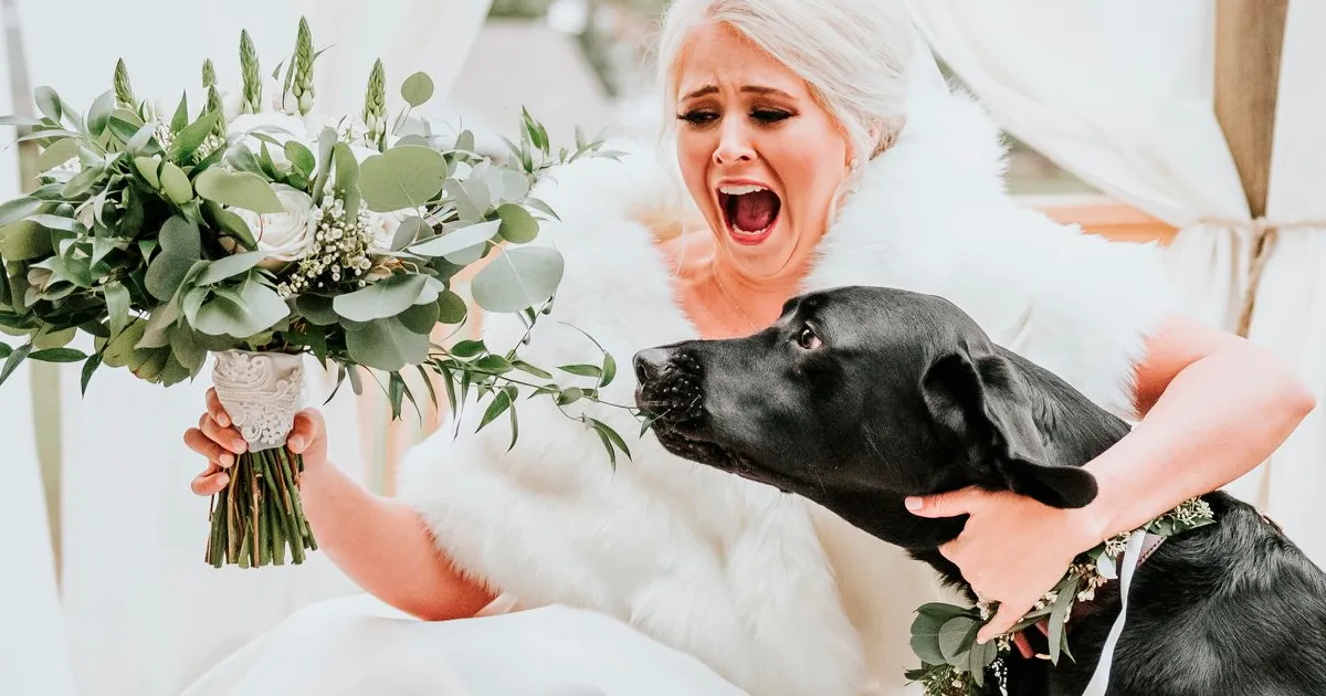La decisión de esta novia de llevar a su perro a la 1ª sesión de fotos con el vestido hace que se vuelvan virales
