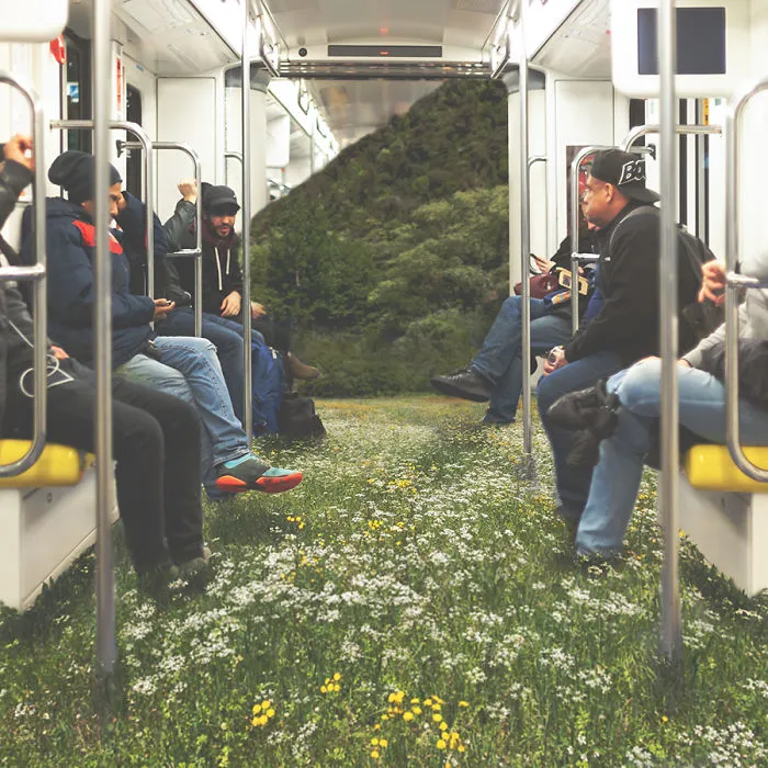 The Absence Of Harmony Between The Function Of An Object And Its Design