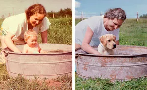 Ad Campaigns Tell How A Dog Can Transform A Person's Life