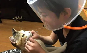40 Hilarious Cat Snapchats That Will Leave You With The Biggest Smile (New Pics)