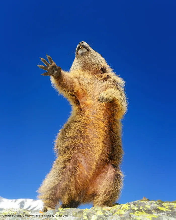 Dancing ... Yeah