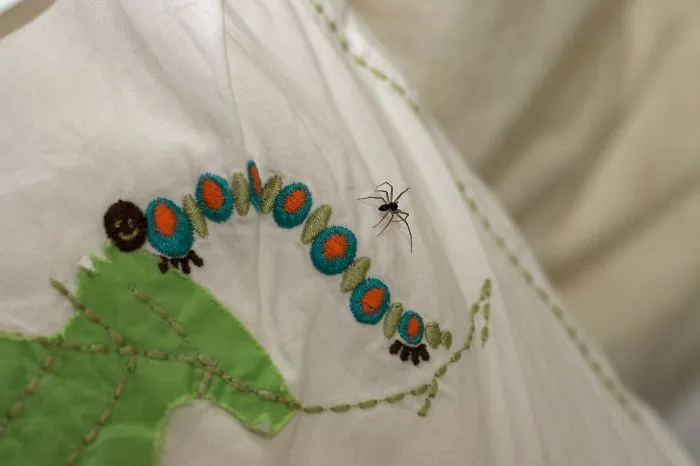 People Don't Swallow A High Number Of Spiders While Asleep