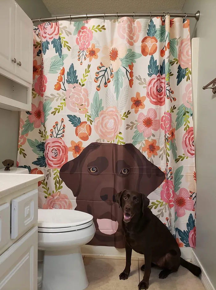 Humano, apruebo estas cortinas de baño