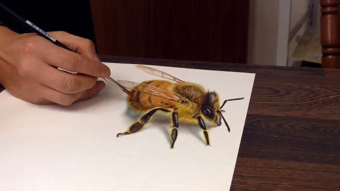 Professional German Artist Creates Incredible 3D Drawings On Simple Flat Surfaces (30 Pics)