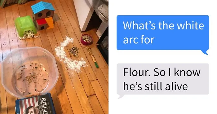 Dad Loses Daughter's Hamster, And His Freak-Out Texts Reveal How Pure His Heart Really Is