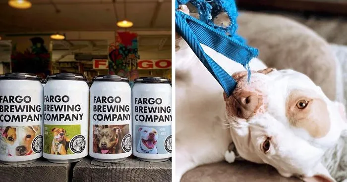 This Beer Company Puts Dog Photos On Cans To Help Them Get Adopted