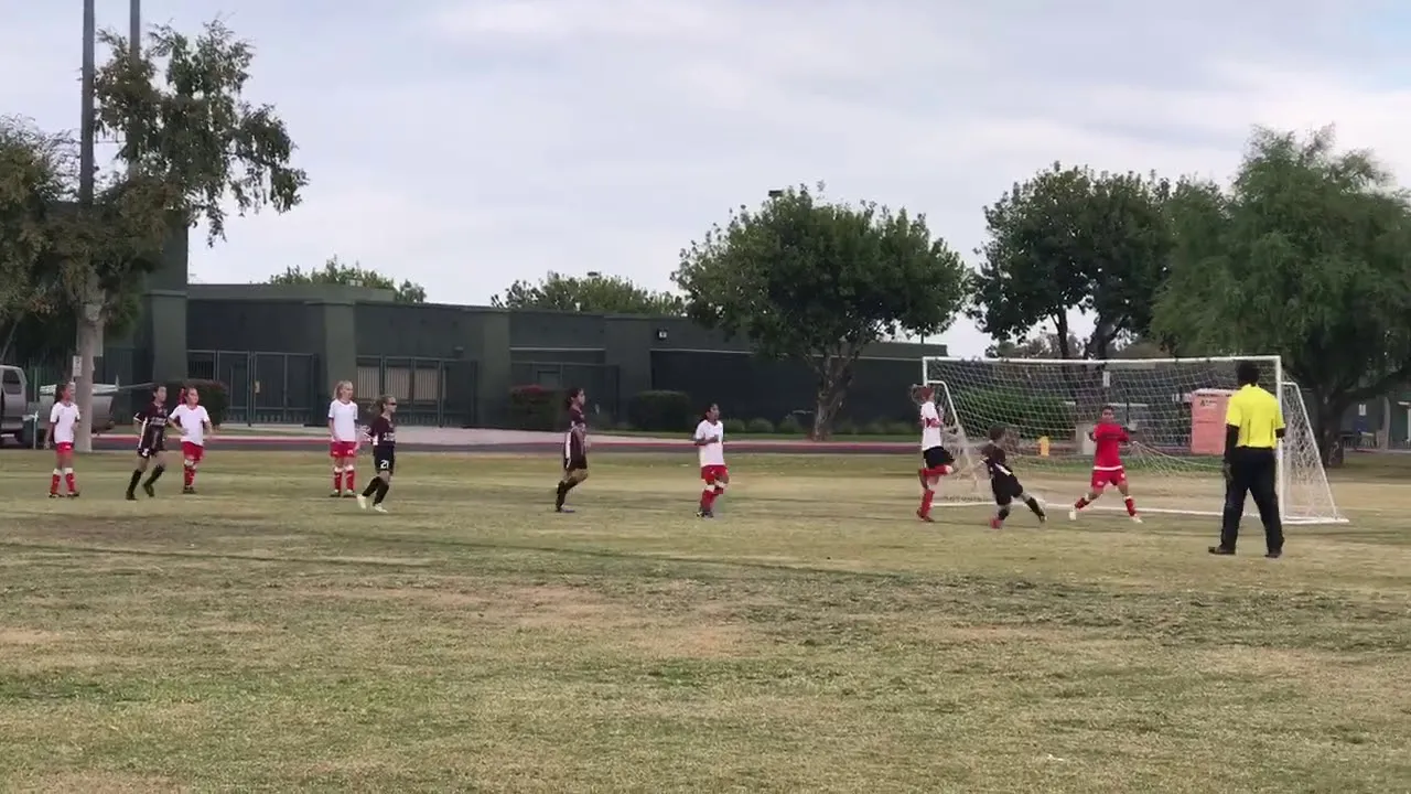 10 Year Old Girl In Arizona Does Amazing Flip-Throw!