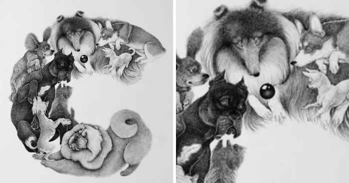 An Alphabet Of Dogs - My Illustrated Book