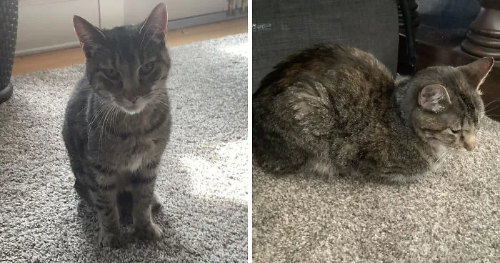 Star's 5 Week Story